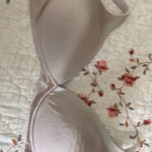 Warner’s bra